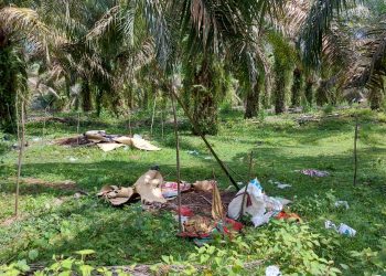 Lokasi Hunian SAD Pasca Bentrok  (foto: Ga)