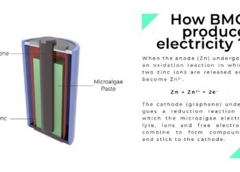 Ilustrasi dari Battery Microalgae Graphene (BMG) yang ramah lingkungan, gagasan dari tim mahasiswa ITS. (Foto: Istimewa)