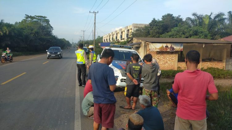 Ditlantas dan Satlantas Polres Jajaran saat menindak dan menilang 245 truk angkutan Batu bara (foto: Ist)