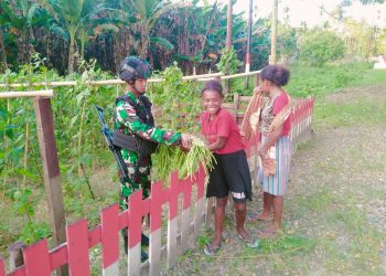Satgas Pamtas Yonif 711/Rks Bagikan Hasil Panen Kebun kepada Warga (foto: Dok (Yonif 711/Rks/Hn)