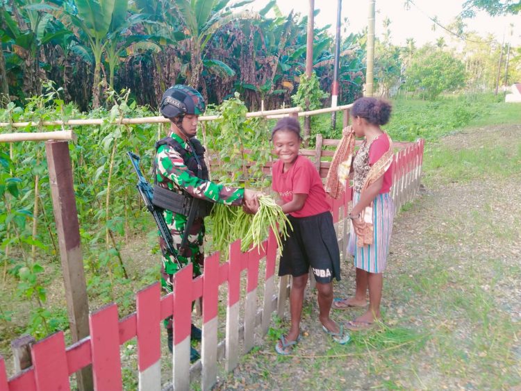 Satgas Pamtas Yonif 711/Rks Bagikan Hasil Panen Kebun kepada Warga (foto: Dok (Yonif 711/Rks/Hn)