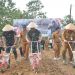 Kasad Launching Ketahanan Pangan di Tebo (foto:Dok Dispenad)