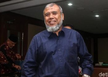 Patrialis Akbar (foto: detik.com)