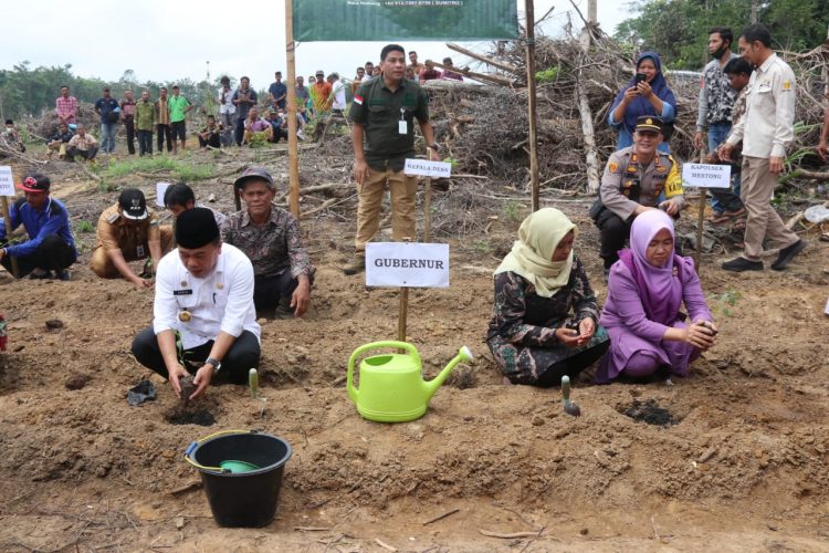 Gubernur Jambi, Dr. H. Al Haris, S.Sos., M.H., beserta Ketua PKK Jambi Hesti Haris Sedang Menanam Bibit Cabai (Foto:Diskominfo Jambi)