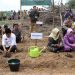 Gubernur Jambi, Dr. H. Al Haris, S.Sos., M.H., beserta Ketua PKK Jambi Hesti Haris Sedang Menanam Bibit Cabai (Foto:Diskominfo Jambi)