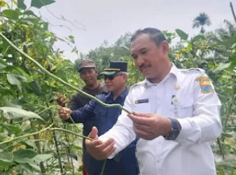 Anggota DPRD Kabupaten Muaro Jambi daerah pemilihan (Dapil) Sungai Gelam dari Fraksi Partai Amanat Nasional (PAN), Aidi Hatta mendampingi Kadis Ketahanan Pangan Provinsi Jambi (Dok Ist)