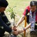 Ketua DPRD Prov.Jambi Edi Purwanto Bersama Wagub Sani Lakukan Penanaman Pohon Di SMAN 12 Kota Jambi (Dok Foto:Humas DPRD Jambi)