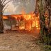 Tempat pondok Narkoba dibakar kepolisan (dok Foto:Rfo)