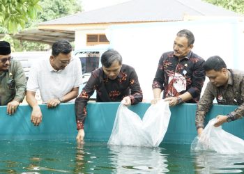 Edi Purwanto didampingi oleh Kadis Kelautan dan Perikanan Provinsi Jambi, KadisPerikanan Kota Jambi, Memasuki Bibit Lele Ke kolam (Dok Foto:Humas DPRD Jambi)