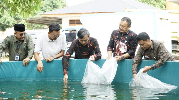 Edi Purwanto didampingi oleh Kadis Kelautan dan Perikanan Provinsi Jambi, KadisPerikanan Kota Jambi, Memasuki Bibit Lele Ke kolam (Dok Foto:Humas DPRD Jambi)