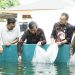 Edi Purwanto didampingi oleh Kadis Kelautan dan Perikanan Provinsi Jambi, KadisPerikanan Kota Jambi, Memasuki Bibit Lele Ke kolam (Dok Foto:Humas DPRD Jambi)